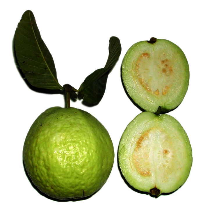 Czytaj więcej: Guawa, gujawa a może gruszla? Co warto wiedzieć o tym egzotycznym owocu i jego zdrowotnych...
